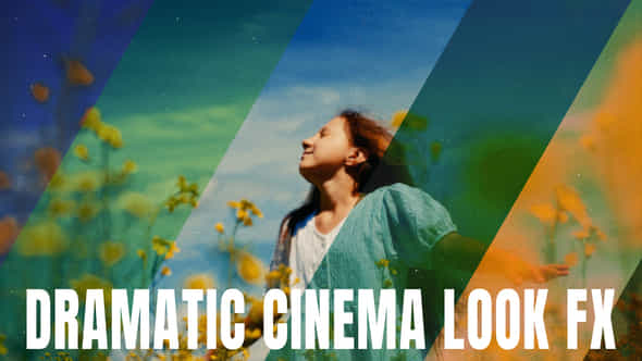 59122875-dramatic-cinema.jpg