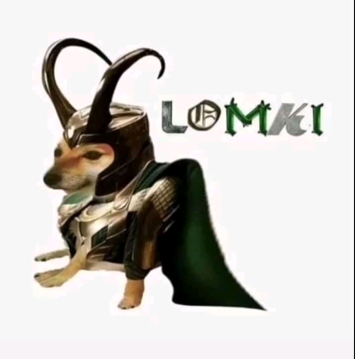 Loki dogge meme