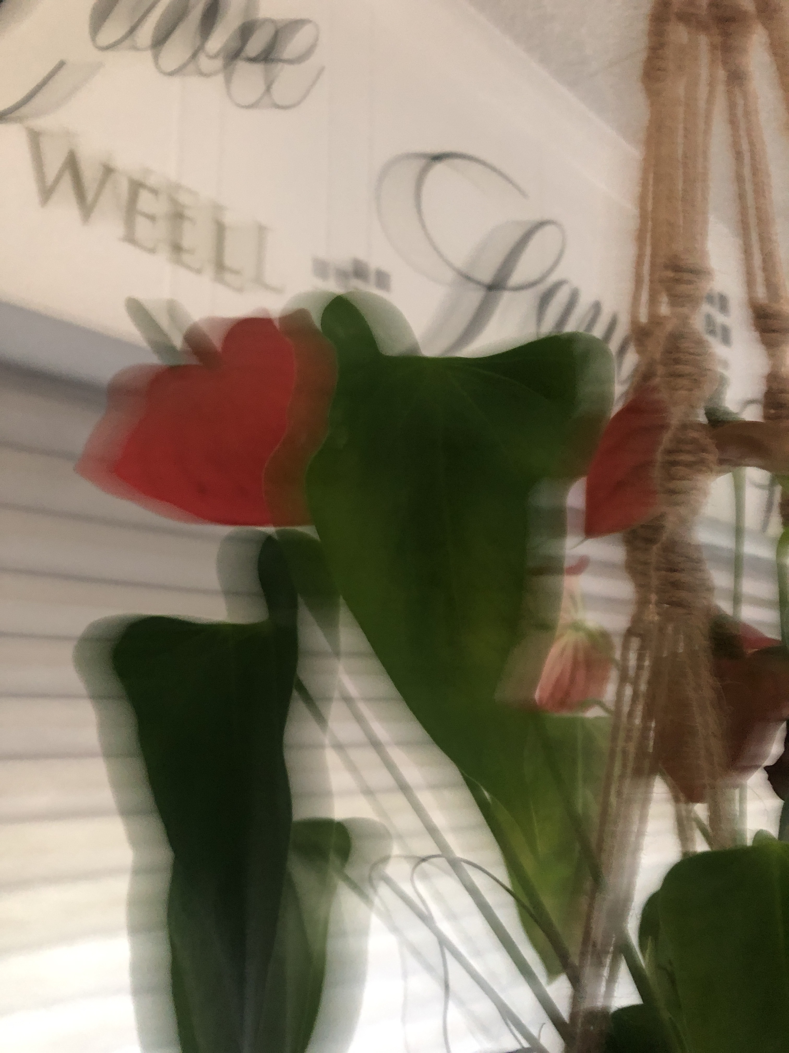 file.jpg