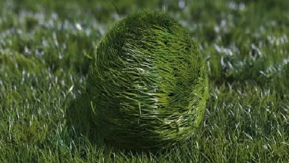 9280907-bouncy-grass.jpg