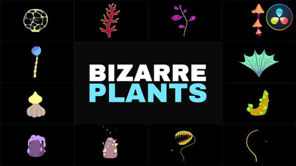 56747723-bizarre-plants.jpg