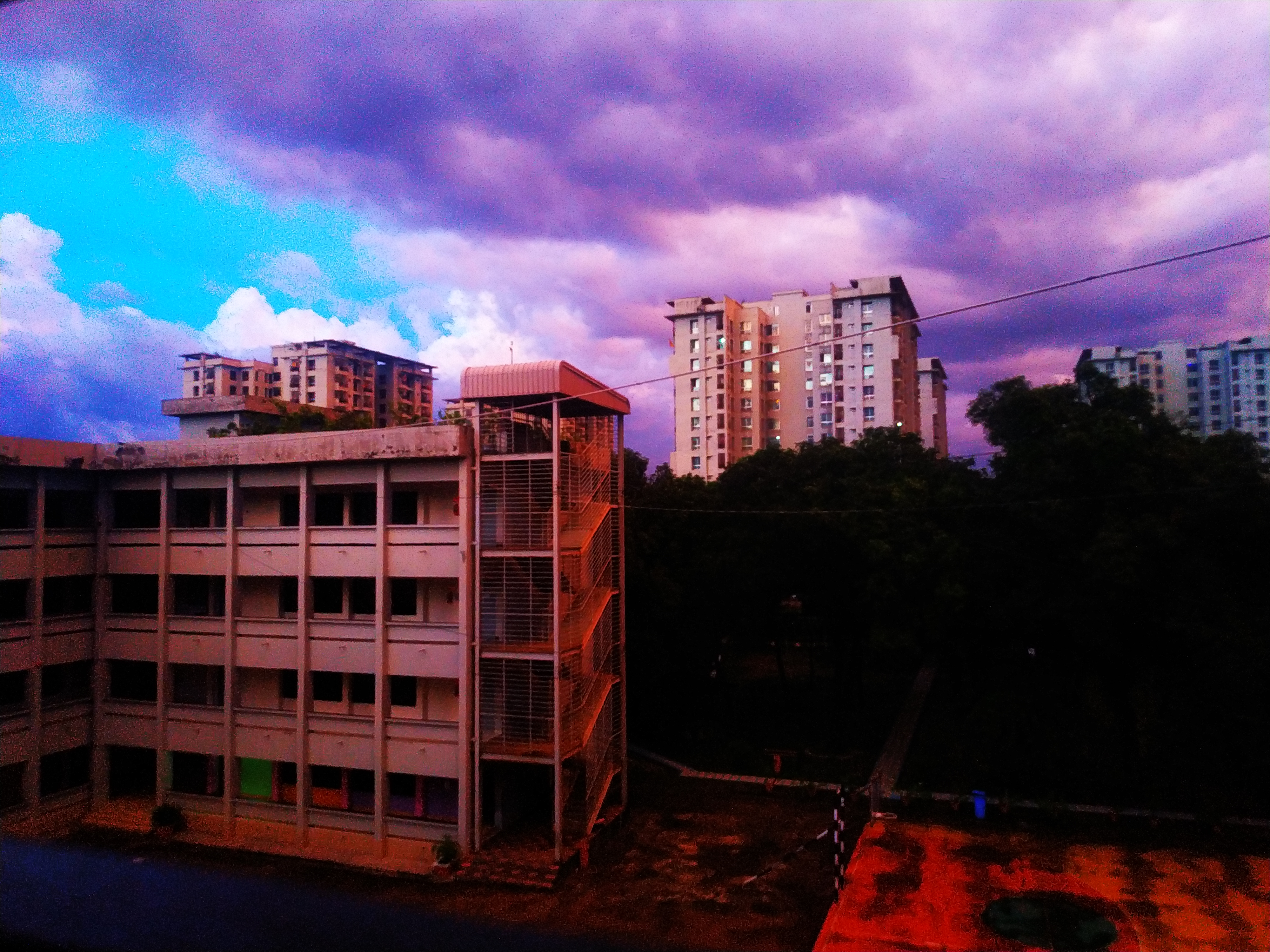 IMG_20260812_184031_1.jpg