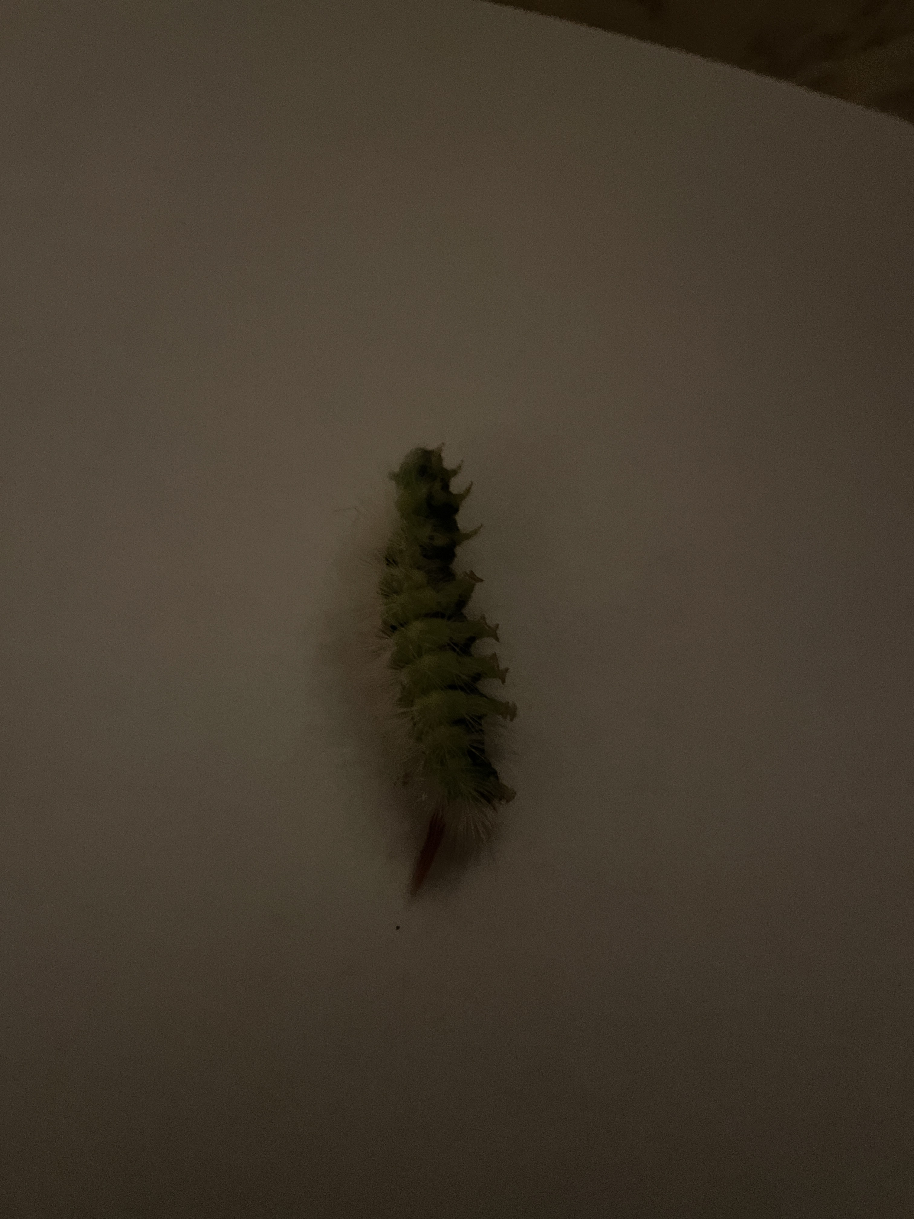 file.jpg
