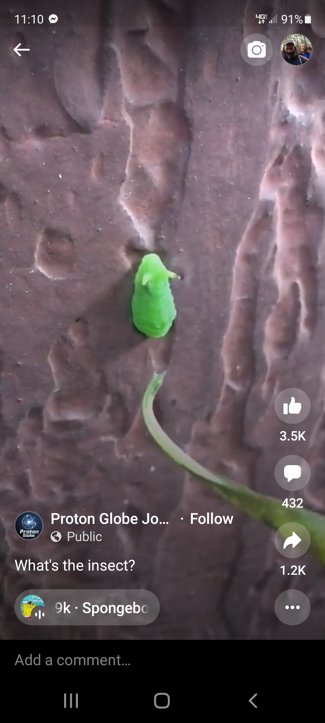 Weird bug