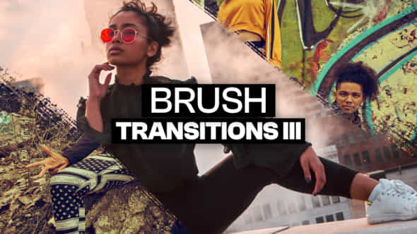 47689580-20-brush.jpg