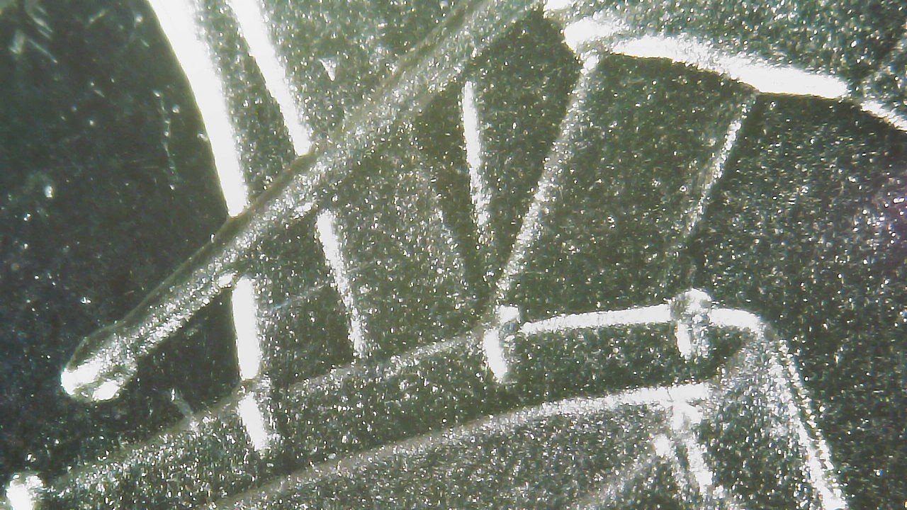 25c-dblstick
