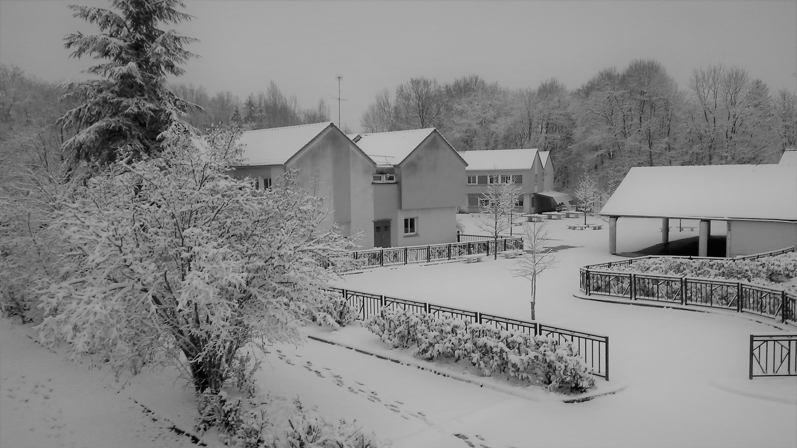 Mon college