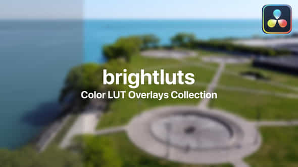 47799481-bright-color.jpg
