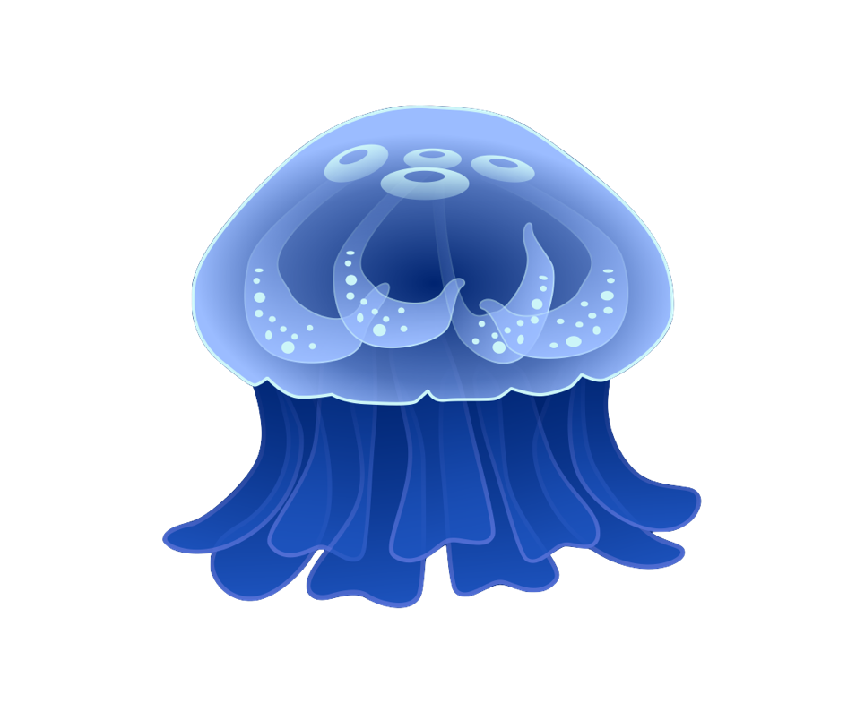 1_1_lIPvzL7yh3ss28D-NlNgcopy.png