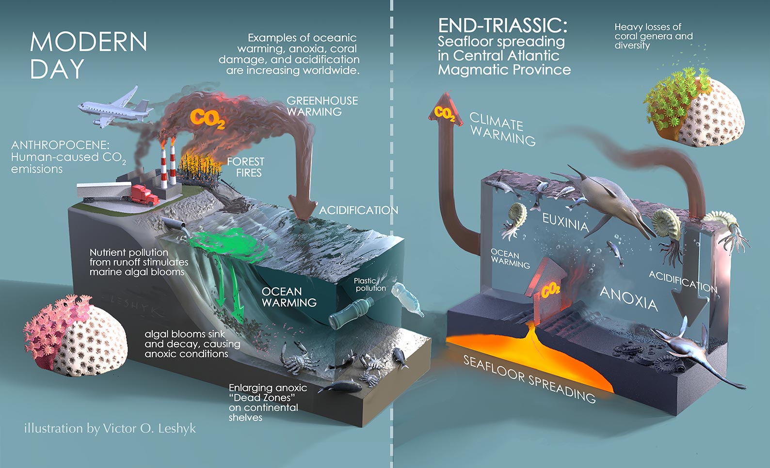 Twin-Triggers-of-Triassic-Era-Extinction-Event.jpg