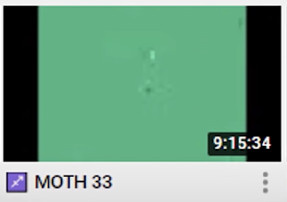 moth33.png