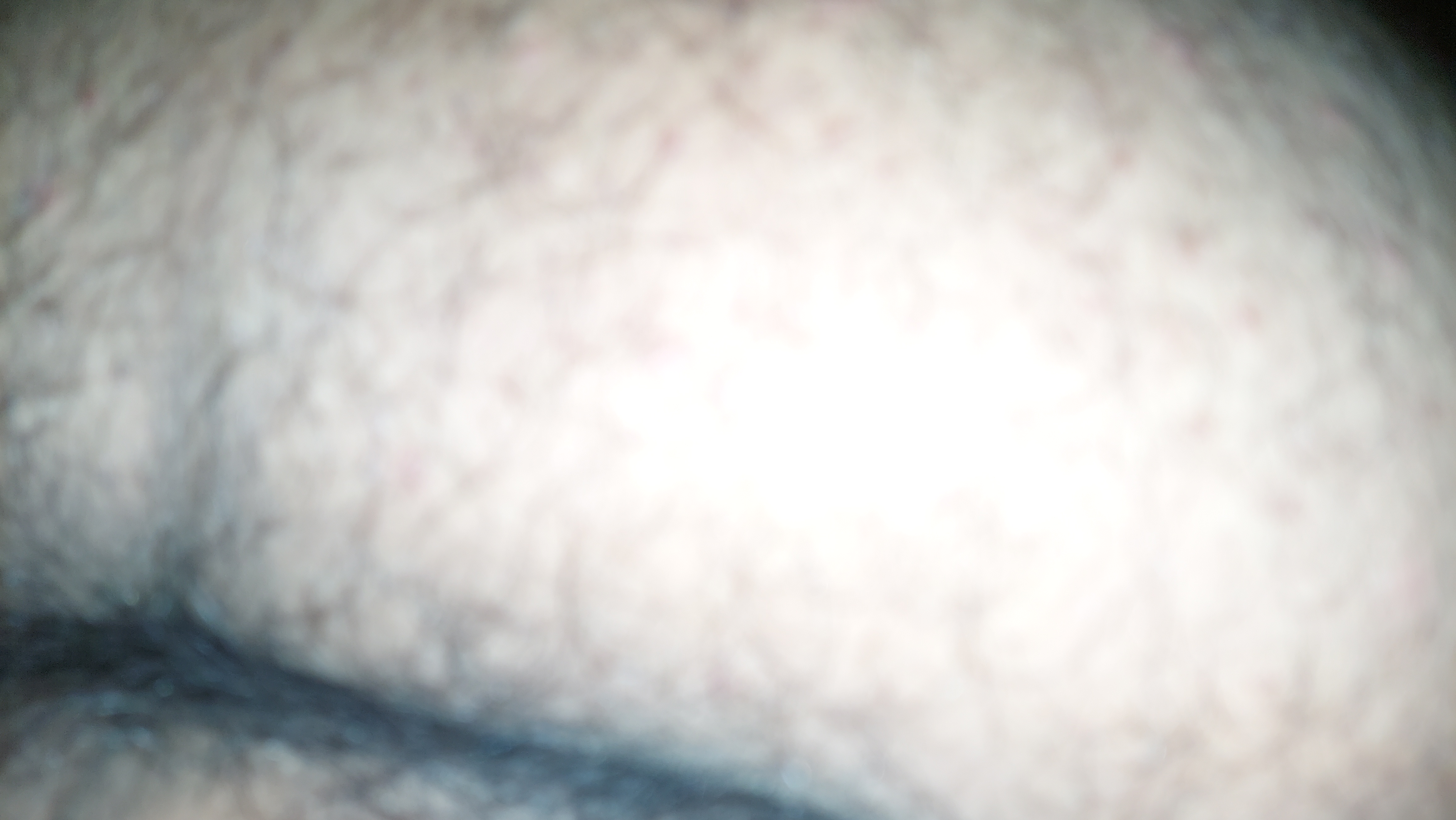 20220424_021119.jpg