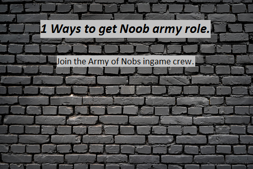 NoobArmyrole.png