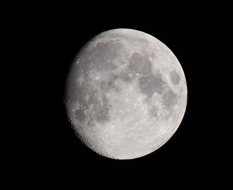 IMG_2763_cropped.jpg