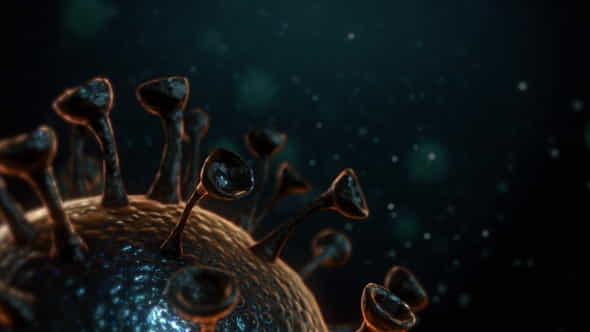 26086708-coronavirus.jpg