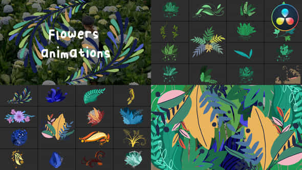 45882830-flowers-animations.jpg