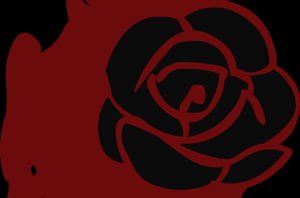 red blood rose