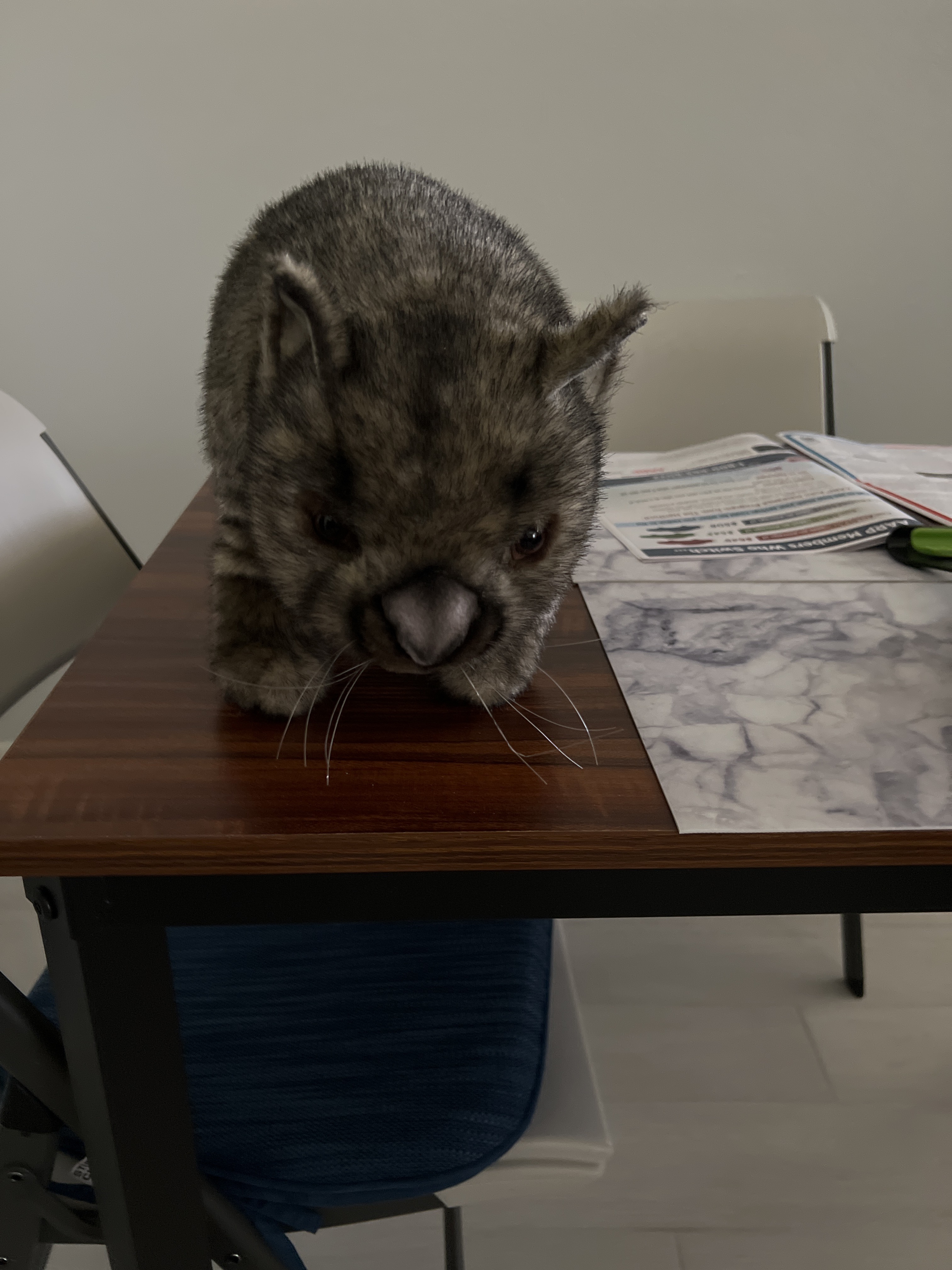 file.jpg