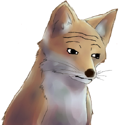 wojack fox