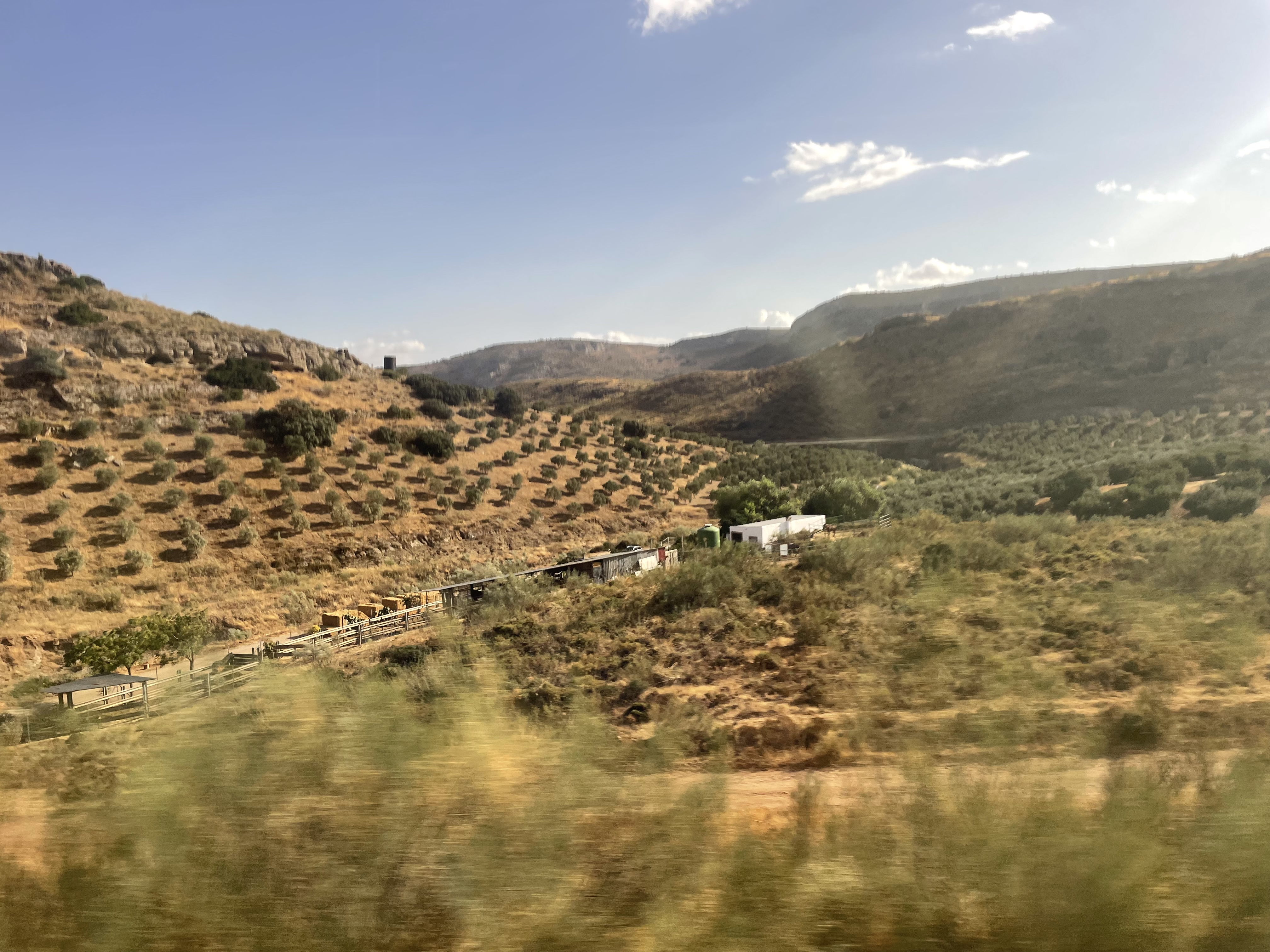 703E0EEE-7725-43C0-AD82-DCCF45EF6915.jpeg