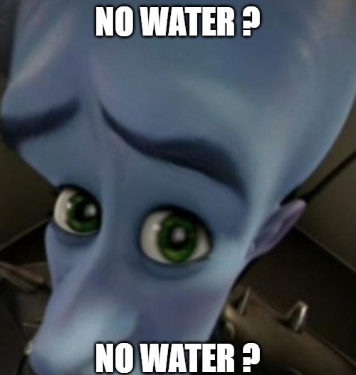 70ewgr.jpg