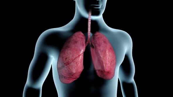 27124711-lungs-blackened.jpg