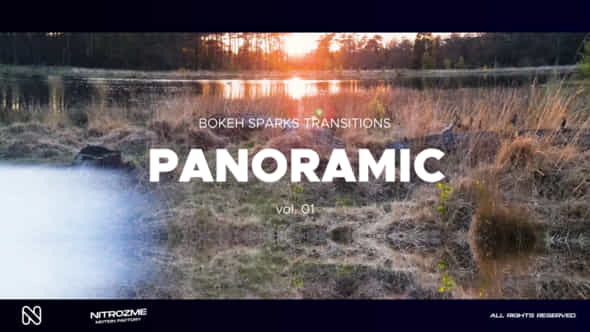 47452453-bokeh-panoramic.jpg