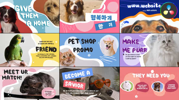 52787385-pet-shop.jpg