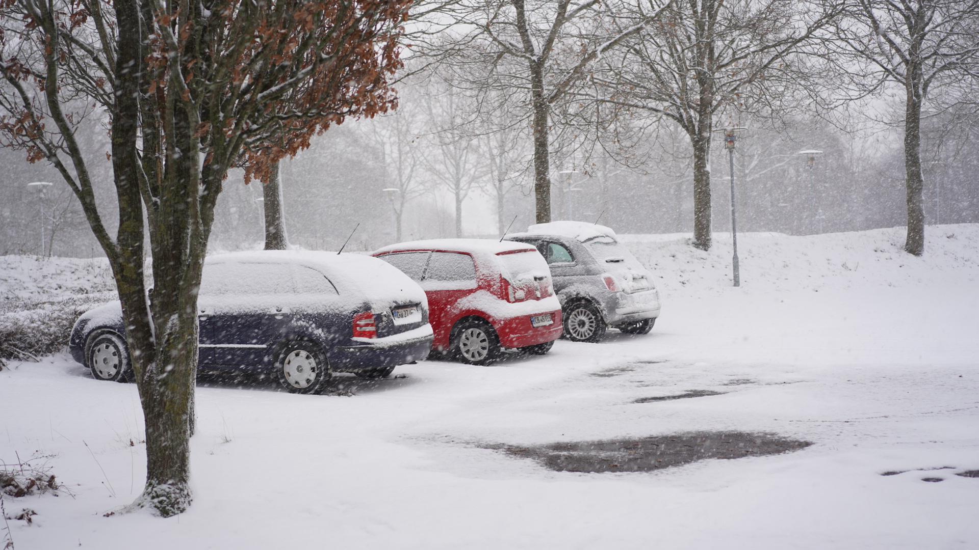 Sne i Sønderborg