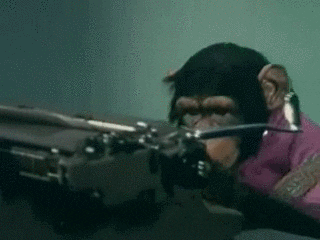 monkey