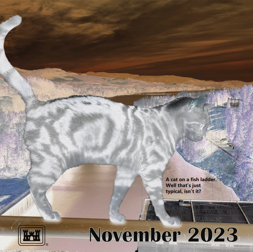 nov.PNG
