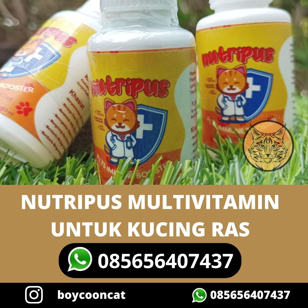 NUTRIPUS MULTIVITAMIN UNTUK KUCING RAS