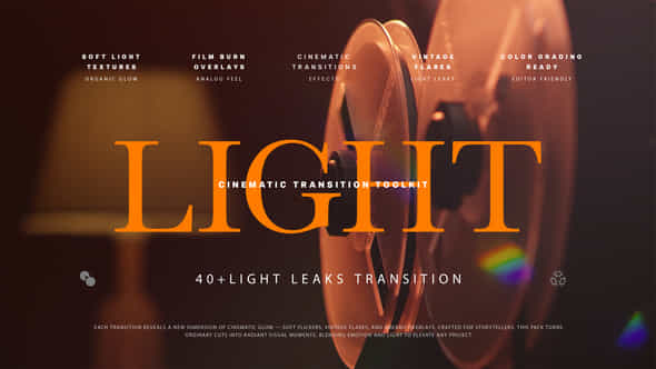 59006378-40-light.jpg