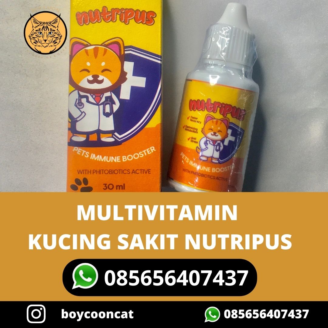 MULTIVITAMIN KUCING SAKIT NUTRIPUS