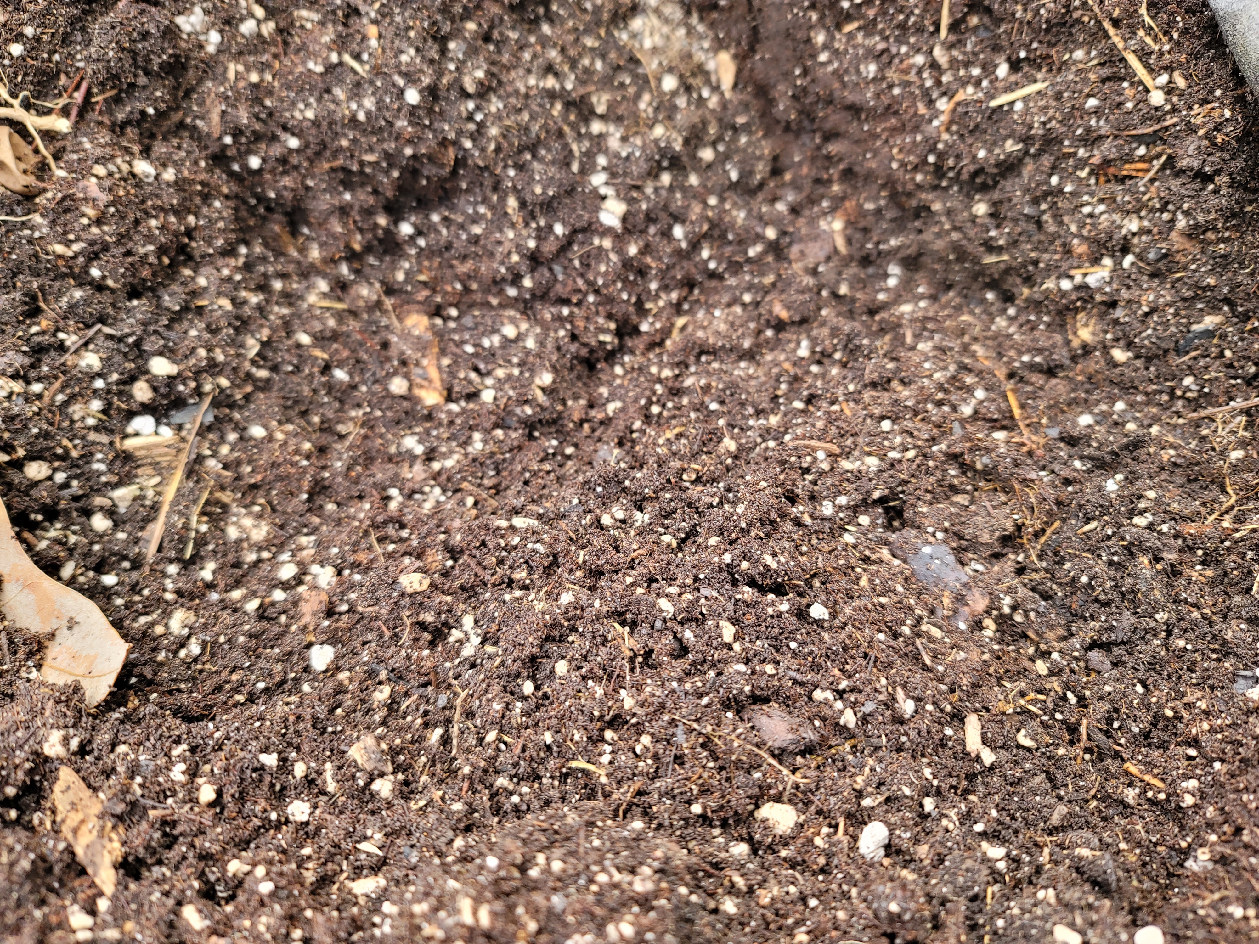 Great soil