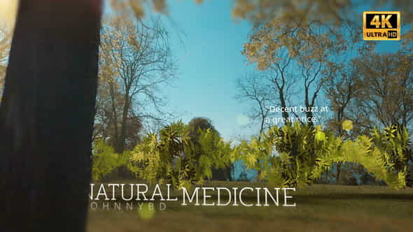 26593710-medical-marijuana.jpg
