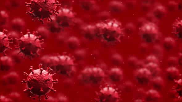 26310389-corona-virus.jpg