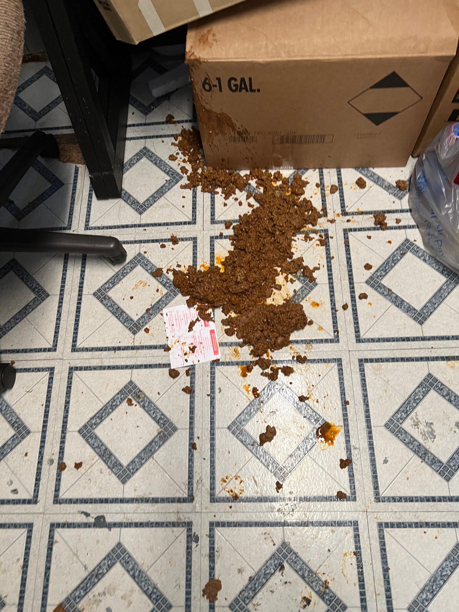 Totallyfakepictureoftacomeatspilledonfloor