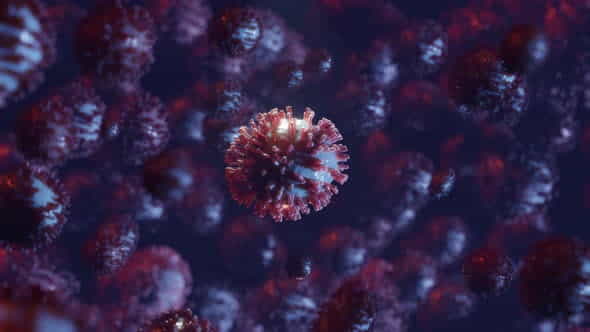 26117257-coronavirus-virus.jpg