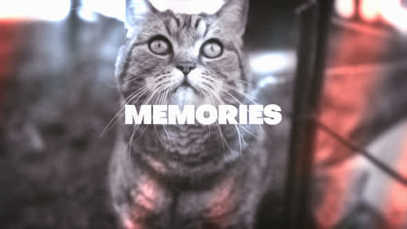 47621804-memories-looks.jpg