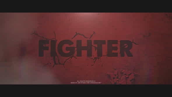 22379818-fighter.jpg