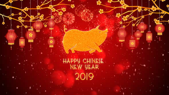 21355711-chinese-new.jpg