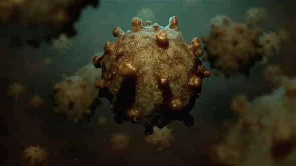 26469444-coronavirus-6.jpg