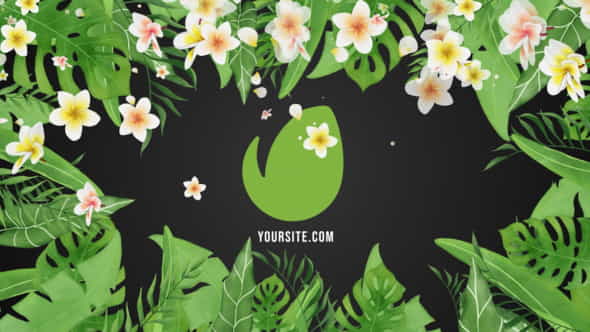 31125146-tropical-vibes.jpg
