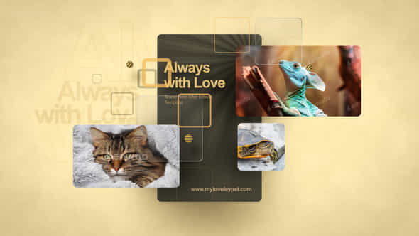 60283444-beloved-pets.jpg