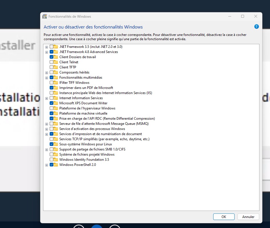 fonctionnalité win11