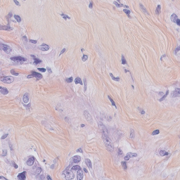 medical_test
