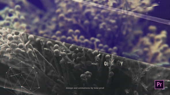 26301441-modern-slideshow.jpg
