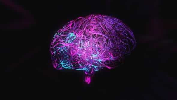 27669201-brain-05.jpg