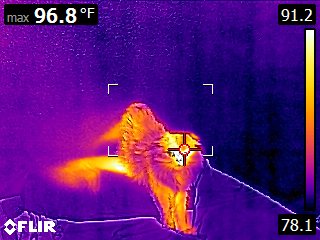 FLIR0750.jpg